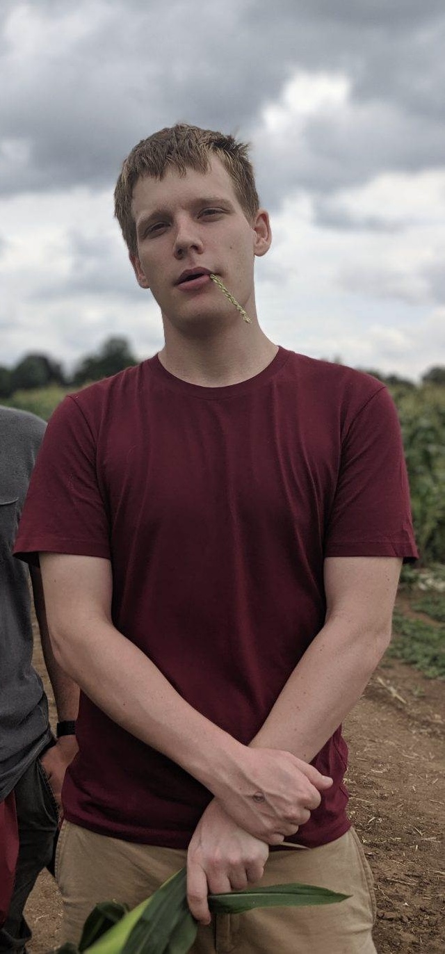 Michael outdoors in Iowa, holding an ear of corn with a grass stem in his mouth.
